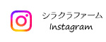 シラクラファーム インスタグラム